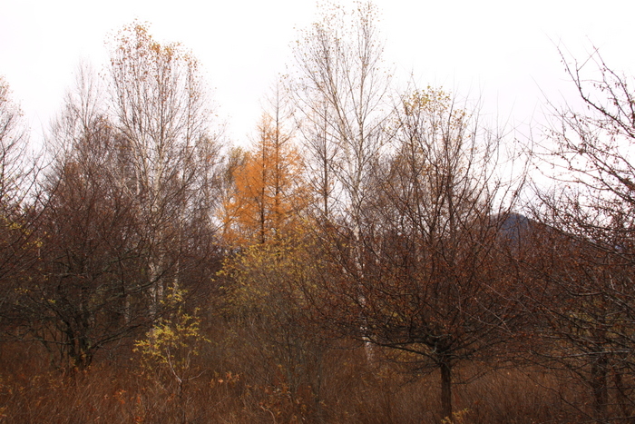 d0248502_1659446.jpg