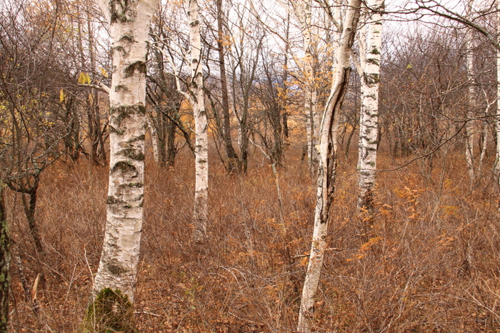 d0248502_1702496.jpg