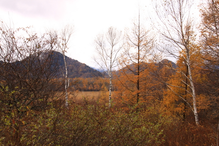 d0248502_171385.jpg