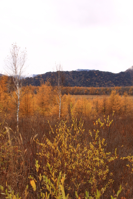 d0248502_17328.jpg