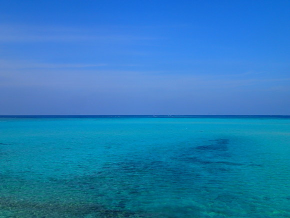 f0221204_15181531.jpg