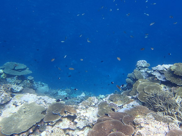 f0221204_15215664.jpg