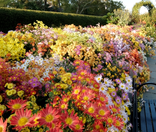 なぜか今、お花満開のセントラルパーク内にあるフランス式庭園（Conservatory Gardenの一部）_b0007805_7344964.jpg