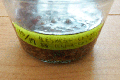 c0216405_11421128.gif