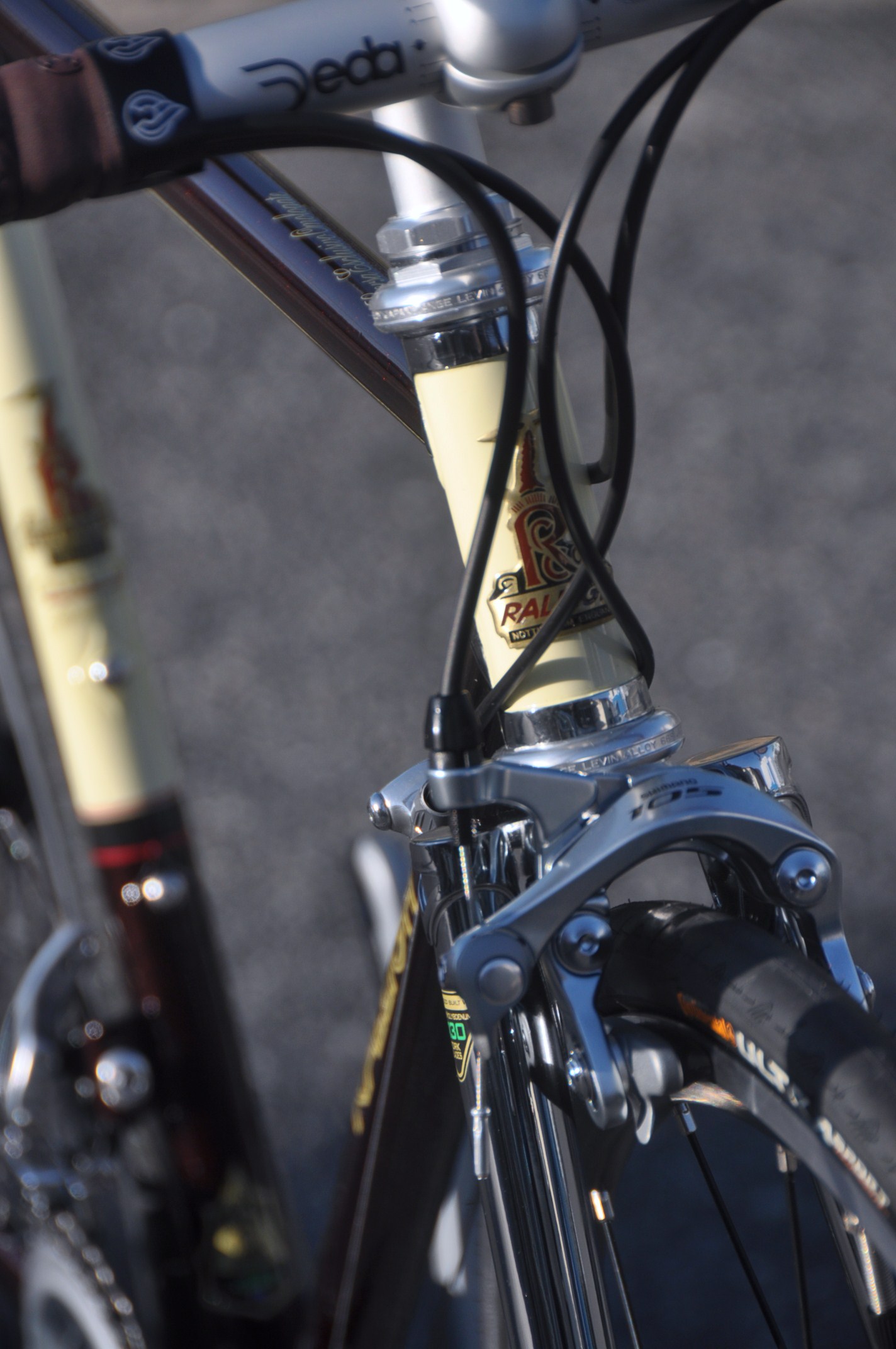 RALEIGH CARLTON RECORD_b0246207_17332923.jpg