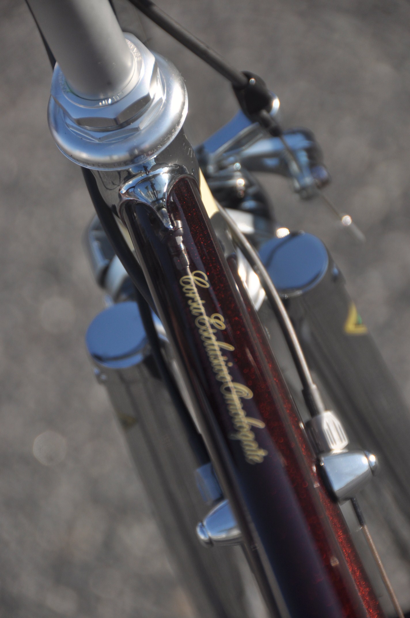 RALEIGH CARLTON RECORD_b0246207_17333792.jpg