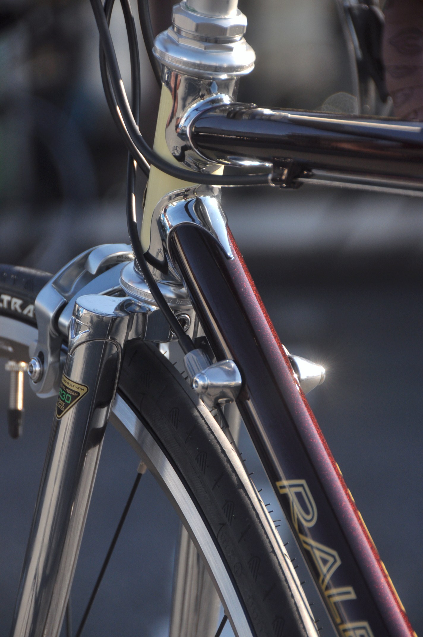 RALEIGH CARLTON RECORD_b0246207_17341637.jpg