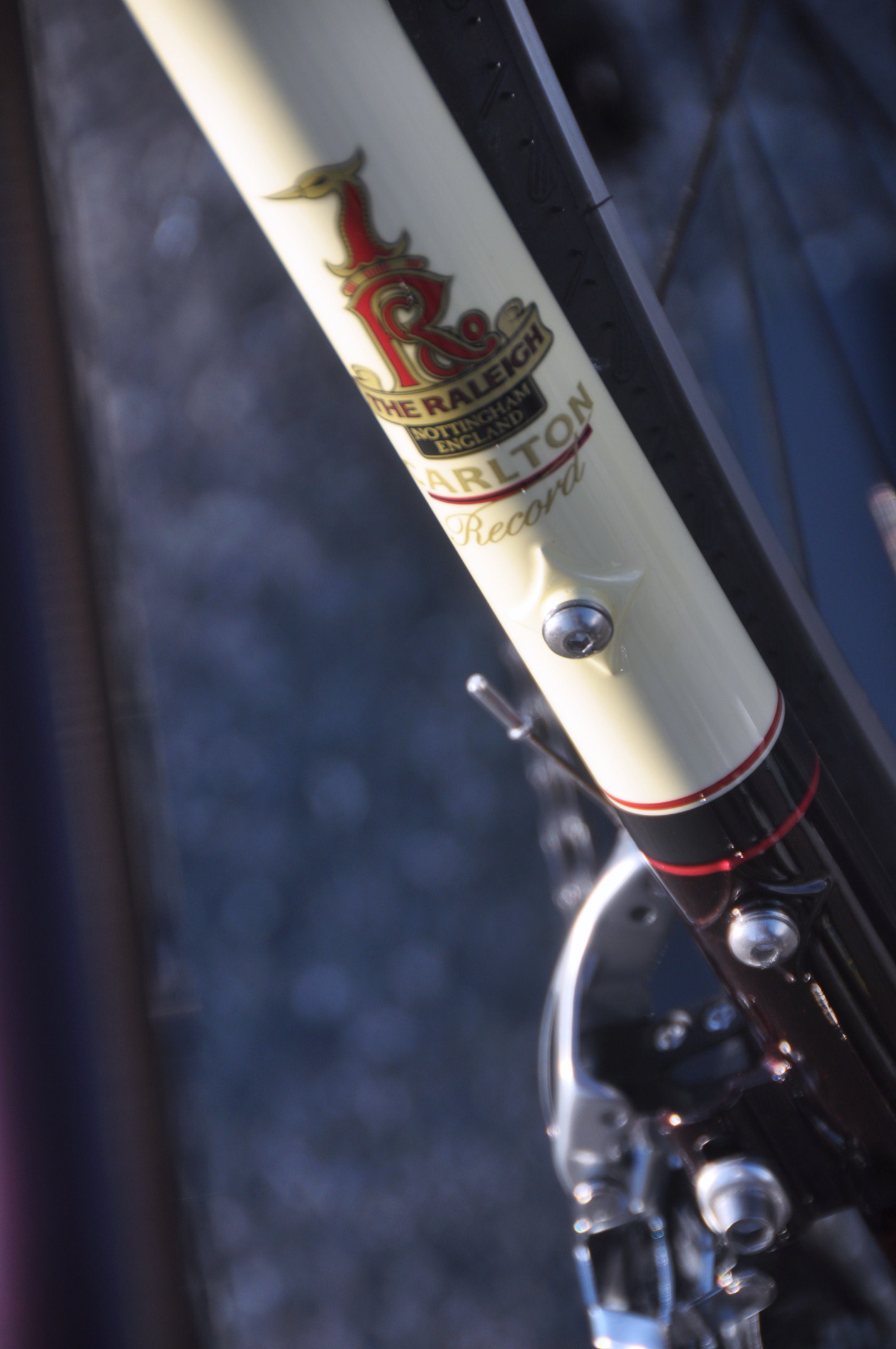 RALEIGH CARLTON RECORD_b0246207_17343377.jpg