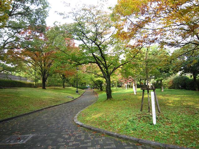 a0141408_21194397.jpg
