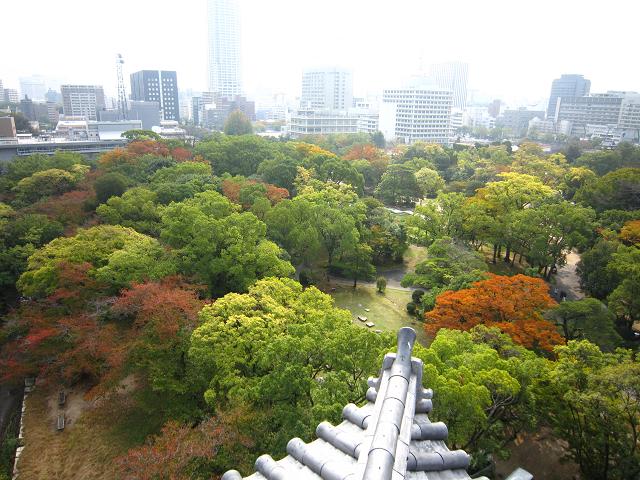 a0141408_21221016.jpg