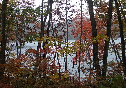 f0161708_23341254.jpg