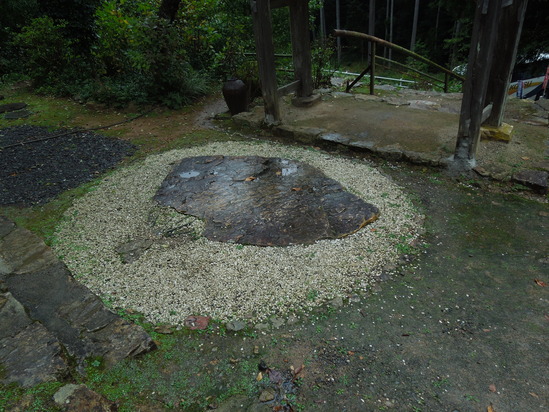 f0297809_0134191.jpg