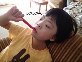 c0182012_20231826.jpg
