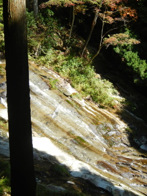 e0211912_8363578.jpg