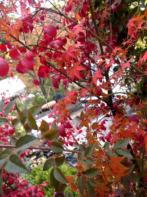 f0150413_1215952.jpg