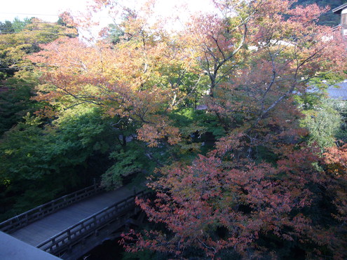 紅葉状況です_c0210517_18243726.jpg