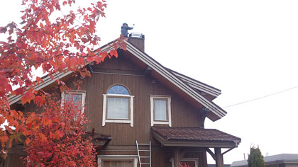 e0123419_162338100.jpg