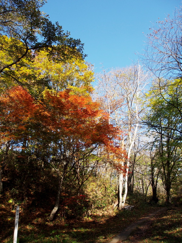 f0330321_22221720.jpg