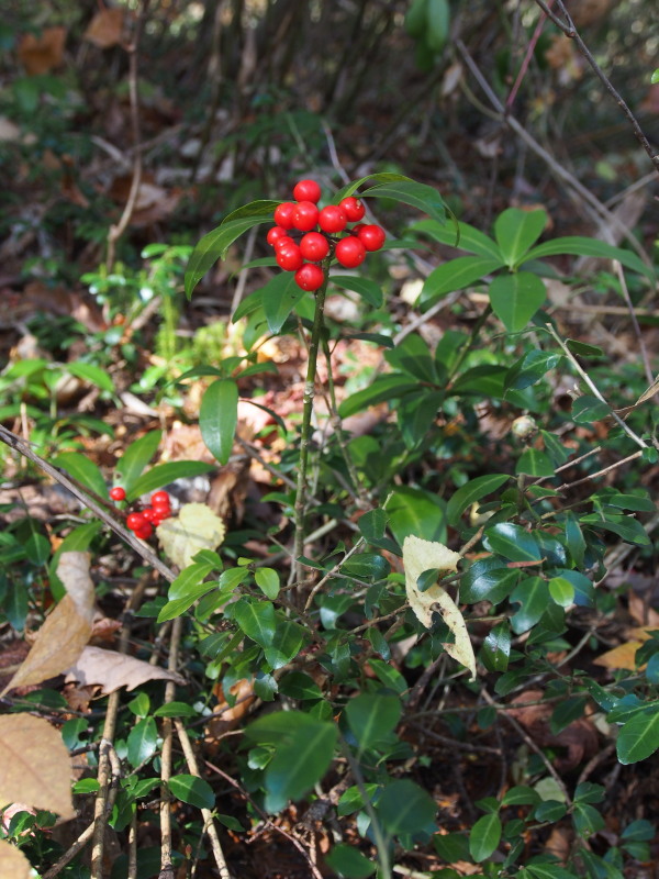 f0330321_2222959.jpg