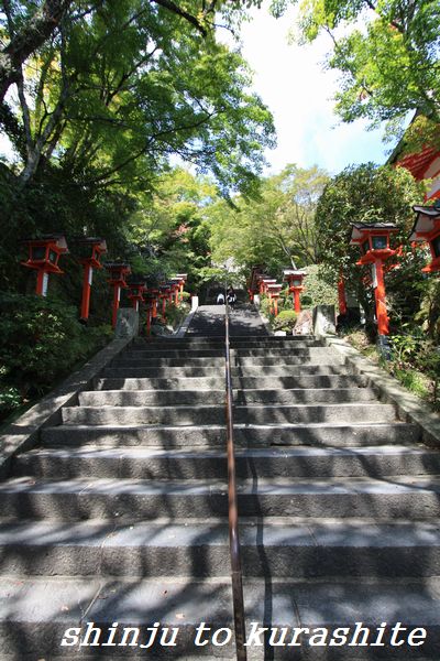 犬連れ関西旅行vol 3 A 観る その4 真珠 と暮らして 犬連れ関西旅行vol 3 A 観る その4 真珠 と暮らして