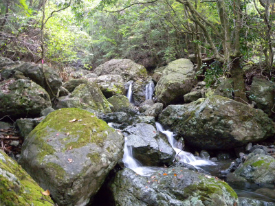 e0272335_90051.jpg