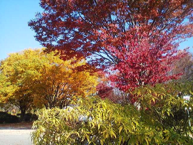 a0272241_11105771.jpg
