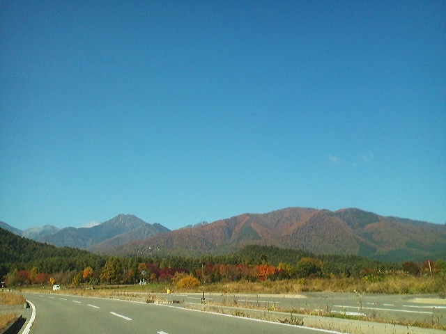 a0272241_1118132.jpg