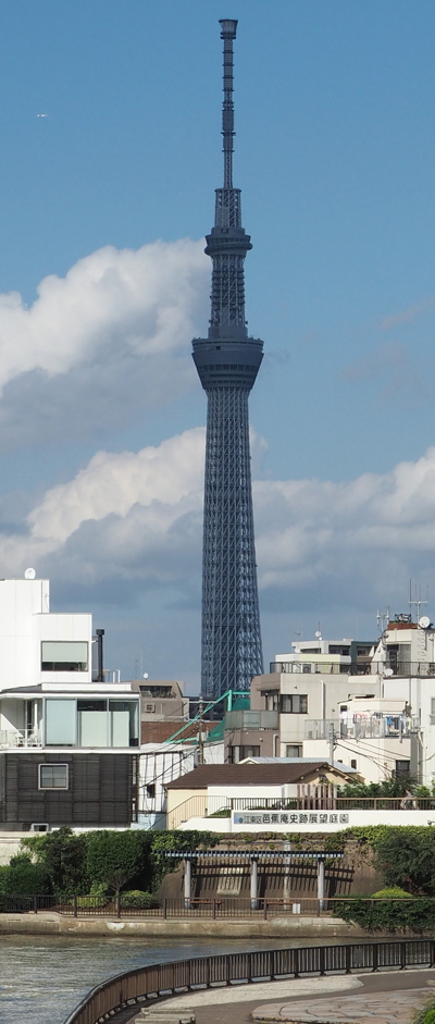 暗いツリー_d0027243_1027913.jpg