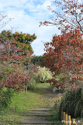 c0127748_14362981.jpg