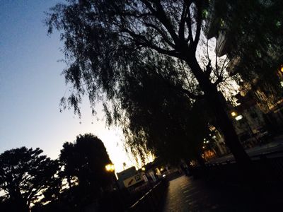 d0148449_7403888.jpg