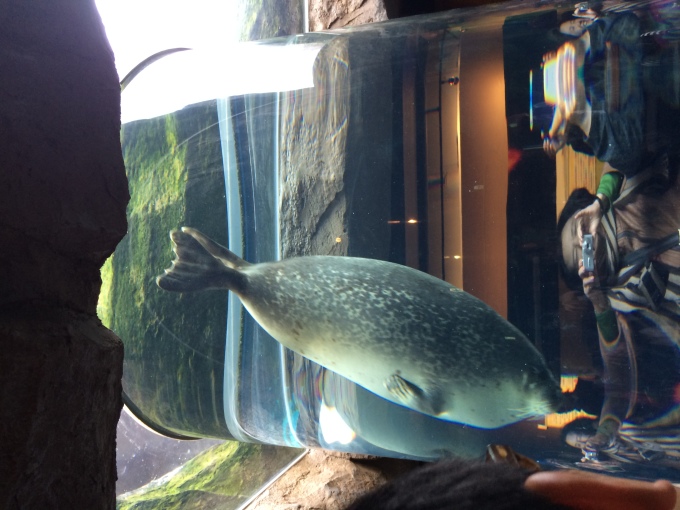 c0177951_10254429.jpeg