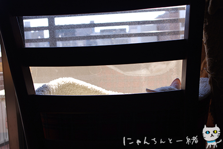 本日の指定席_e0031853_20161694.jpg