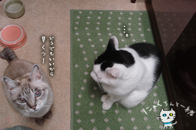 一番乗り♪_e0031853_20374416.jpg