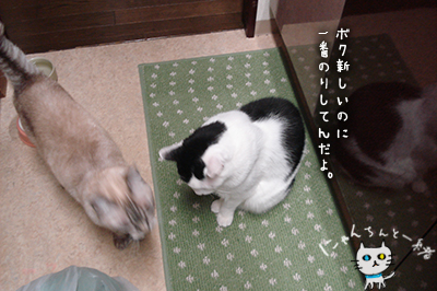 一番乗り♪_e0031853_203779.jpg
