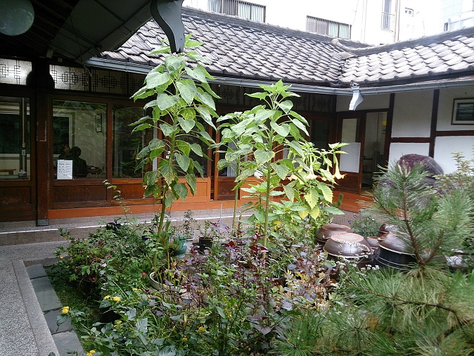 大邱 太鼓判の絶品ランチ♪_b0060363_23144585.jpg