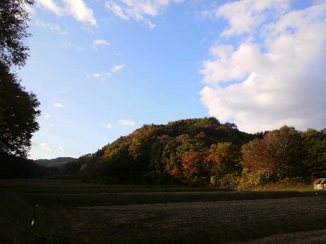 白河市の紅葉_f0208665_718961.jpg