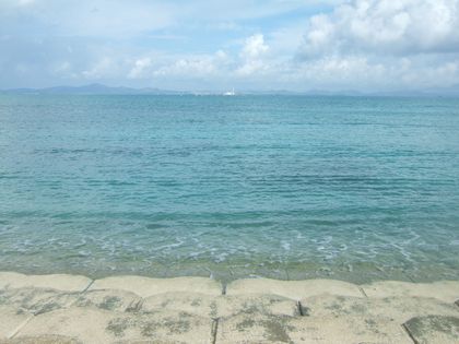 c0086766_1922246.jpg