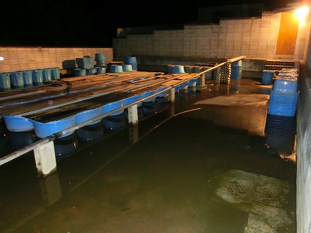 c0105569_2211085.jpg