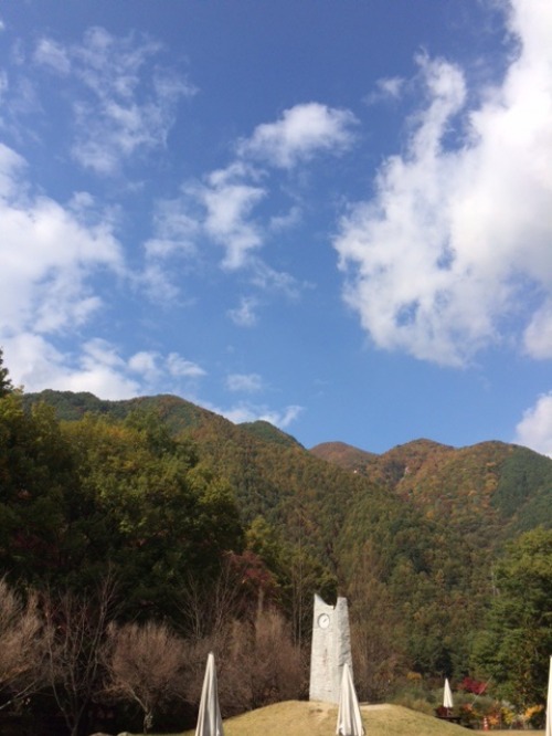 人間万事塞翁が丙午 Glass Onion S Blog