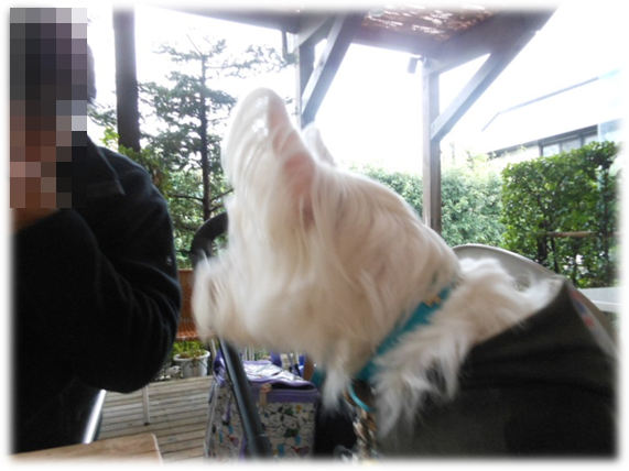 b0242873_01114390.png