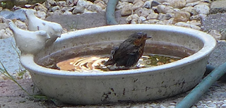 c0197980_0592535.png