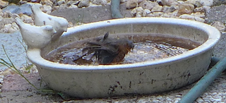 c0197980_0593120.png