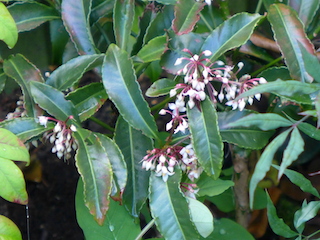 c0197980_115194.jpg