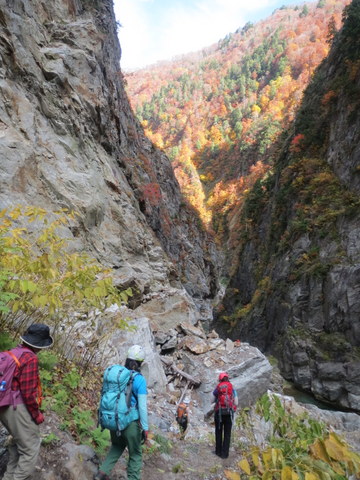 期間限定の登山道②－1_a0104890_2353320.jpg