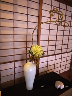10/28 (その2)秋を満喫の二人展_a0088892_13245541.jpg