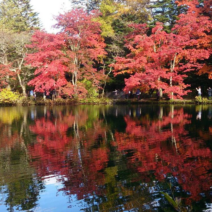 家族の風景　プチ旅_f0137694_11374441.jpg