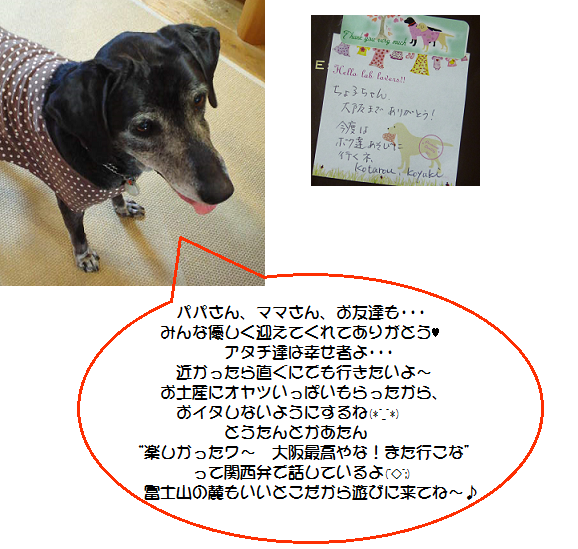 d0282395_1347661.png