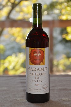 勝沼ワイナリーめぐり 2014_c0124100_1034018.jpg
