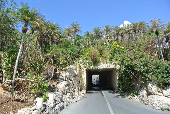f0221204_10311659.jpg