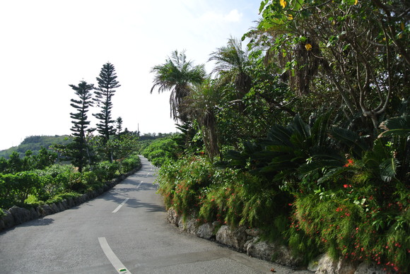 f0221204_10534896.jpg